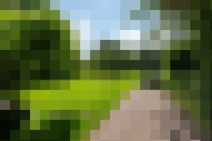 Kanaalsweg 1 Gersloot thumbnail 6