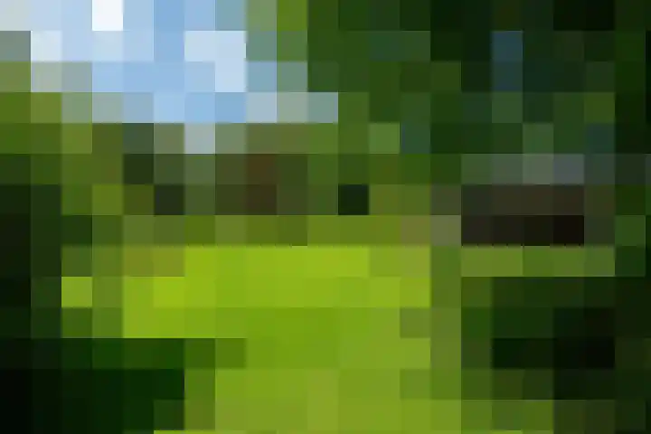 Kanaalsweg 1 Gersloot thumbnail 8