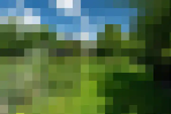 Kanaalsweg 1 Gersloot thumbnail 9