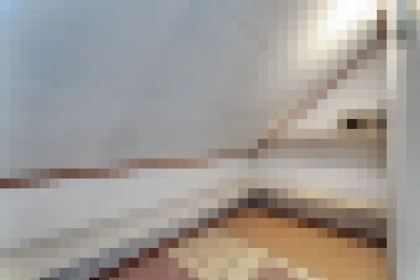 Kanaalweg 1 A Cadzand thumbnail 26
