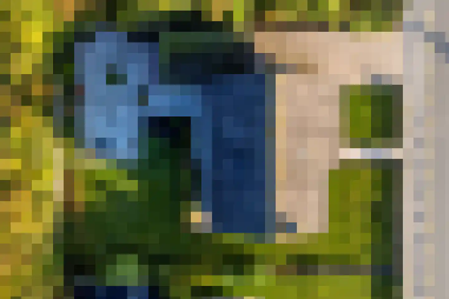 Kanaalweg 1 A Cadzand thumbnail 7