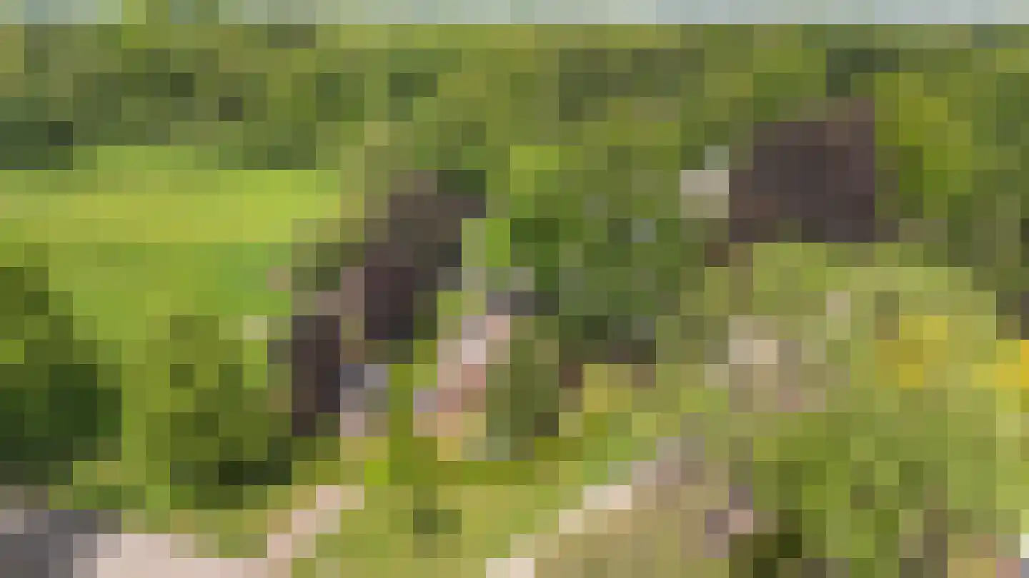 Kanaalweg 1 Eerbeek thumbnail 11
