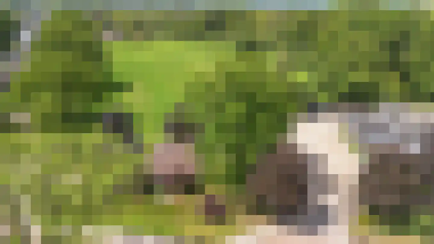 Kanaalweg 1 Eerbeek thumbnail 12