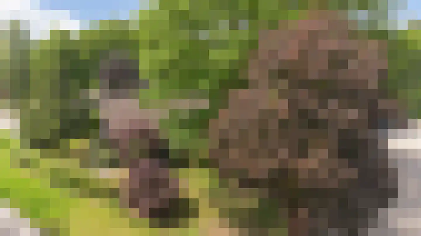 Kanaalweg 1 Eerbeek thumbnail 13