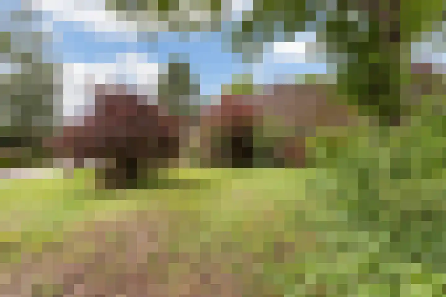 Kanaalweg 1 Eerbeek thumbnail 15