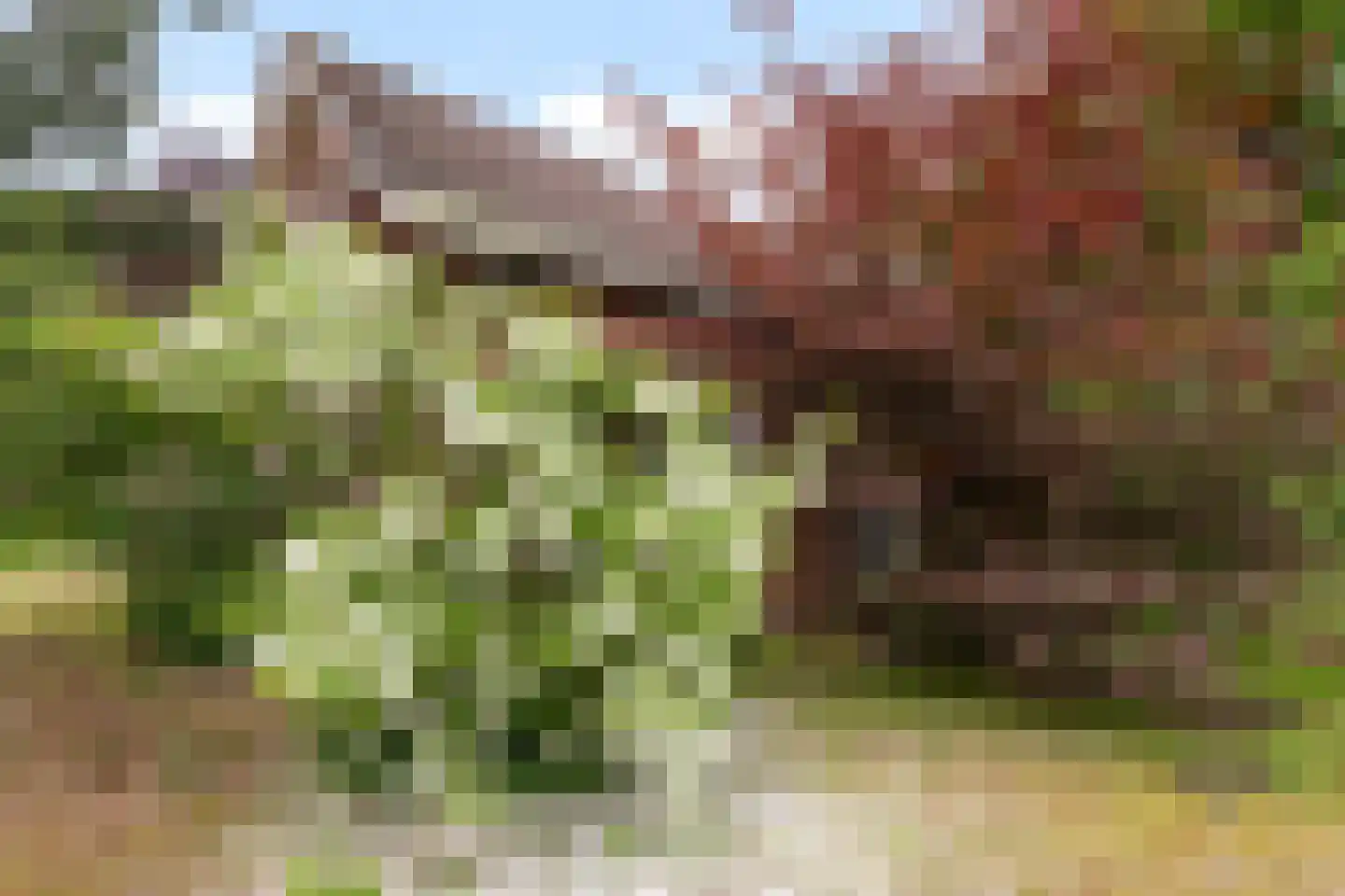 Kanaalweg 1 Eerbeek thumbnail 18
