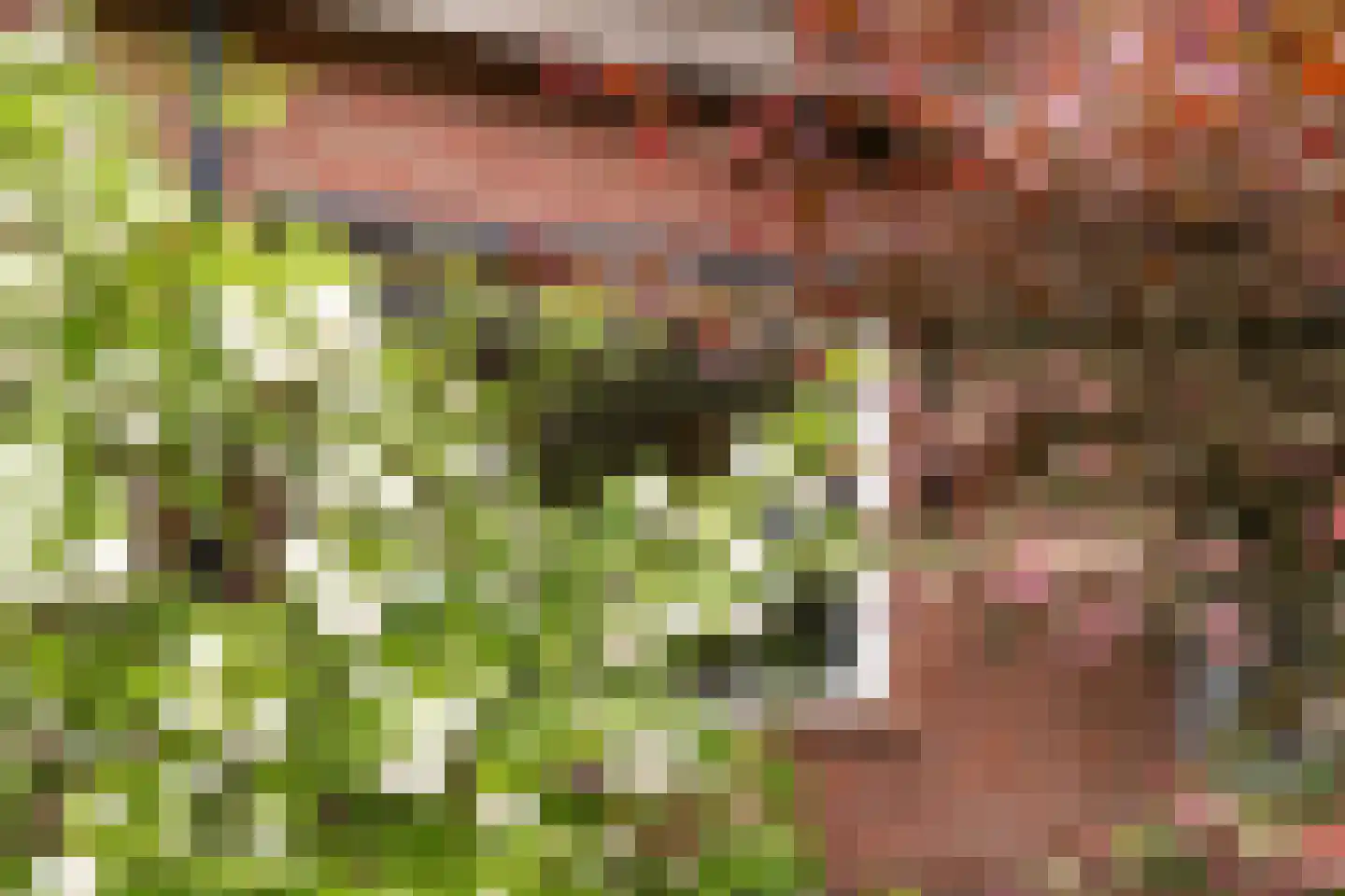 Kanaalweg 1 Eerbeek thumbnail 19