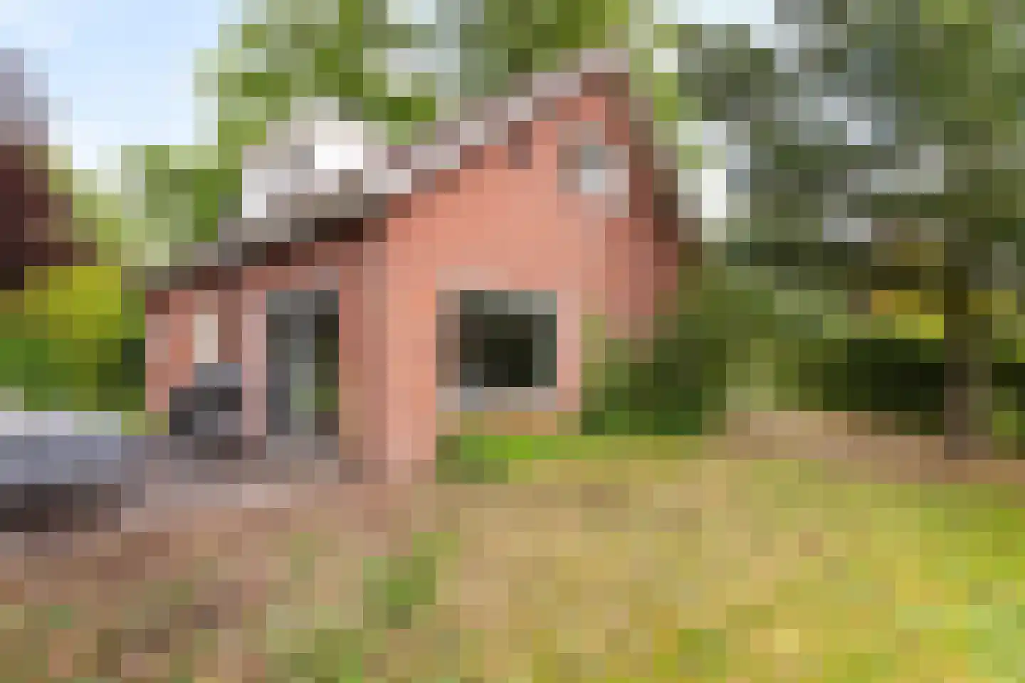 Kanaalweg 1 Eerbeek thumbnail 20