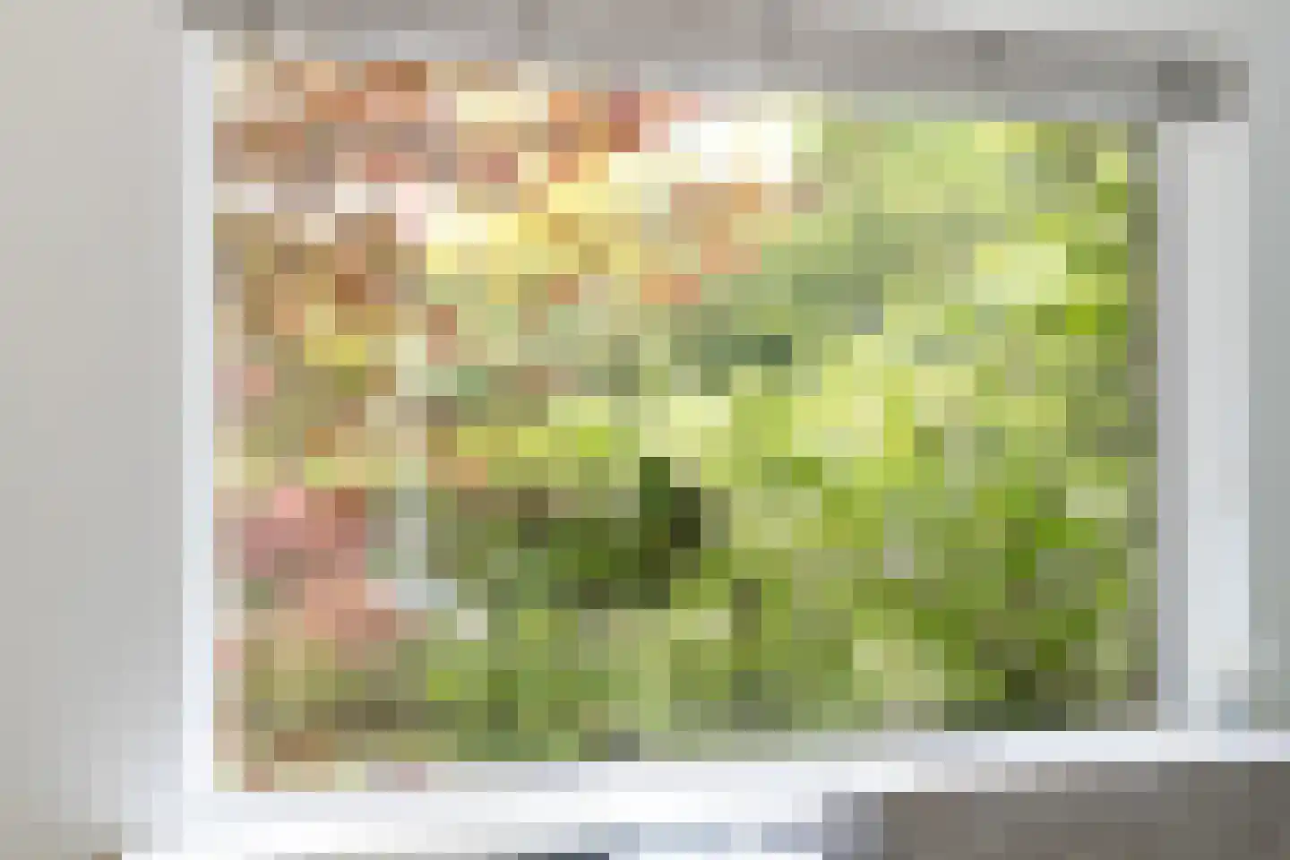 Kanaalweg 1 Eerbeek thumbnail 29
