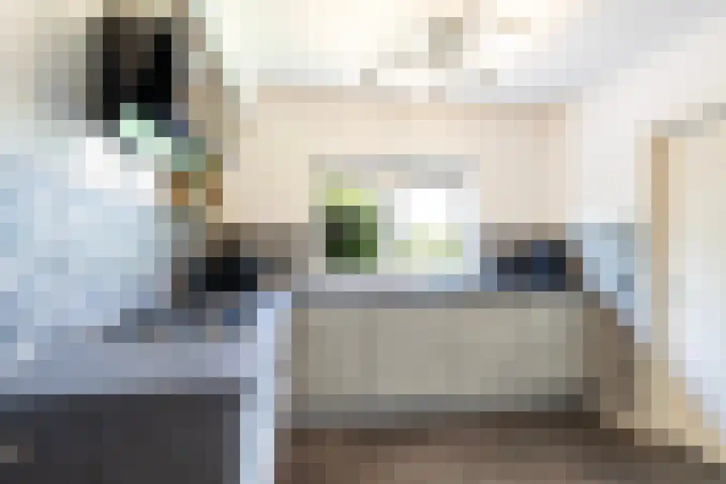 Kanaalweg 1 Eerbeek thumbnail 33