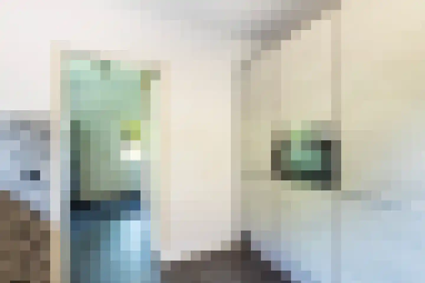 Kanaalweg 1 Eerbeek thumbnail 36