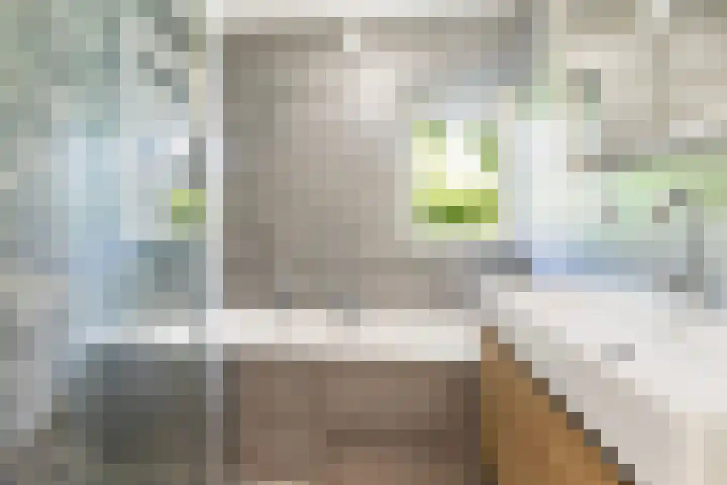 Kanaalweg 1 Eerbeek thumbnail 4