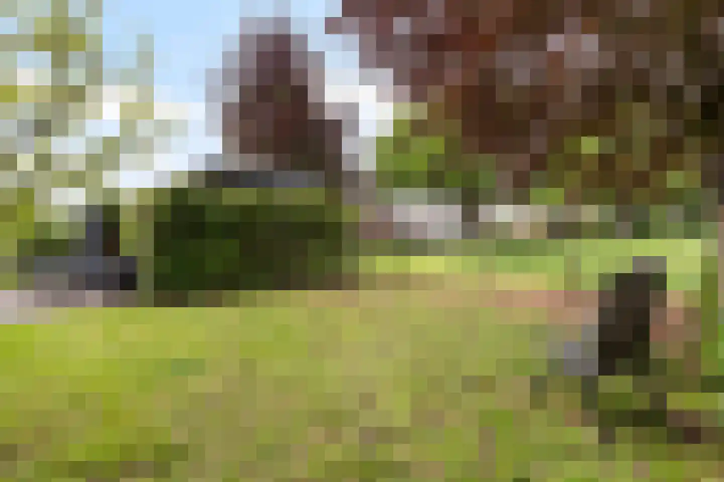 Kanaalweg 1 Eerbeek thumbnail 43