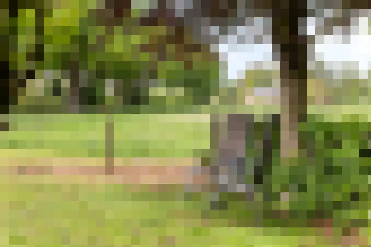 Kanaalweg 1 Eerbeek thumbnail 45