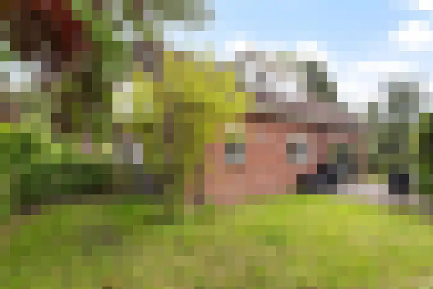 Kanaalweg 1 Eerbeek thumbnail 46