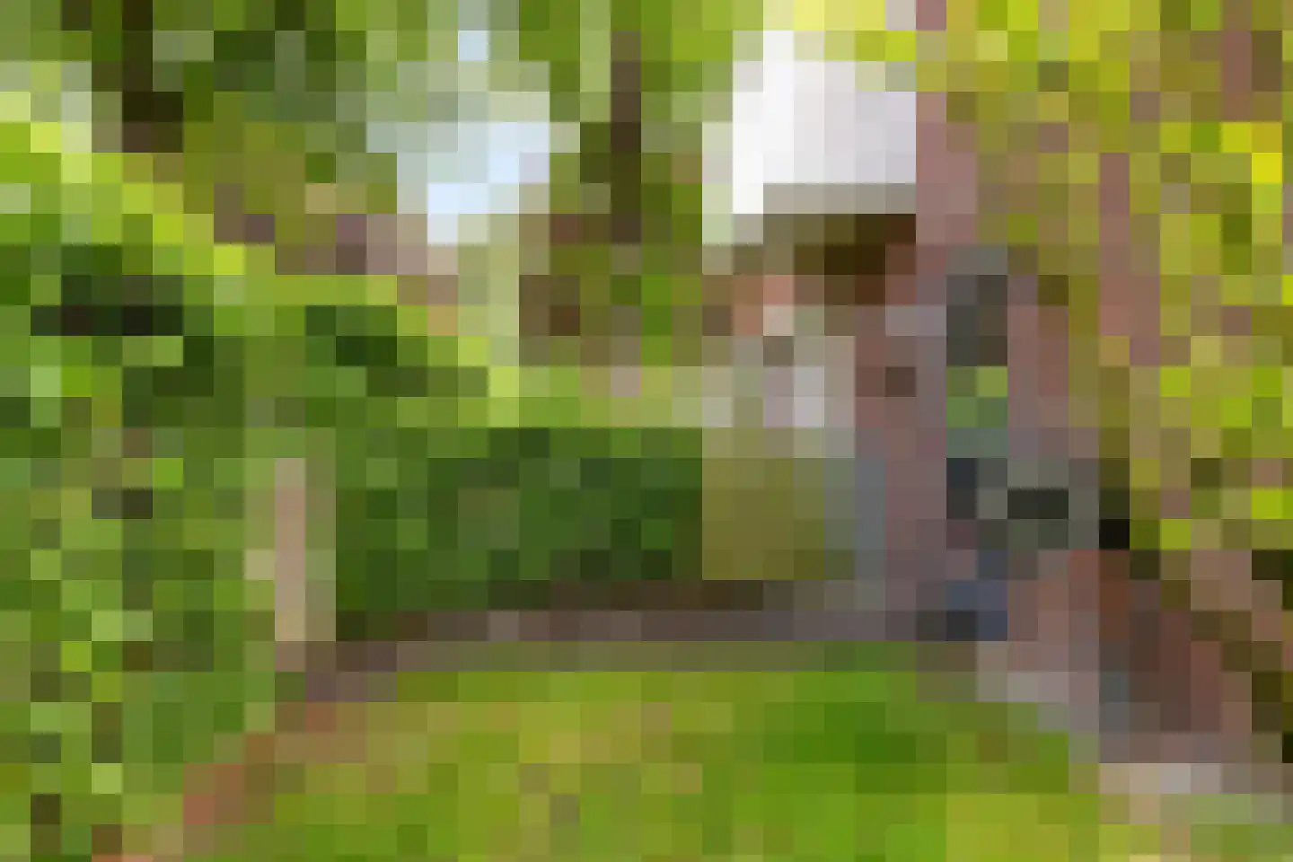 Kanaalweg 1 Eerbeek thumbnail 48