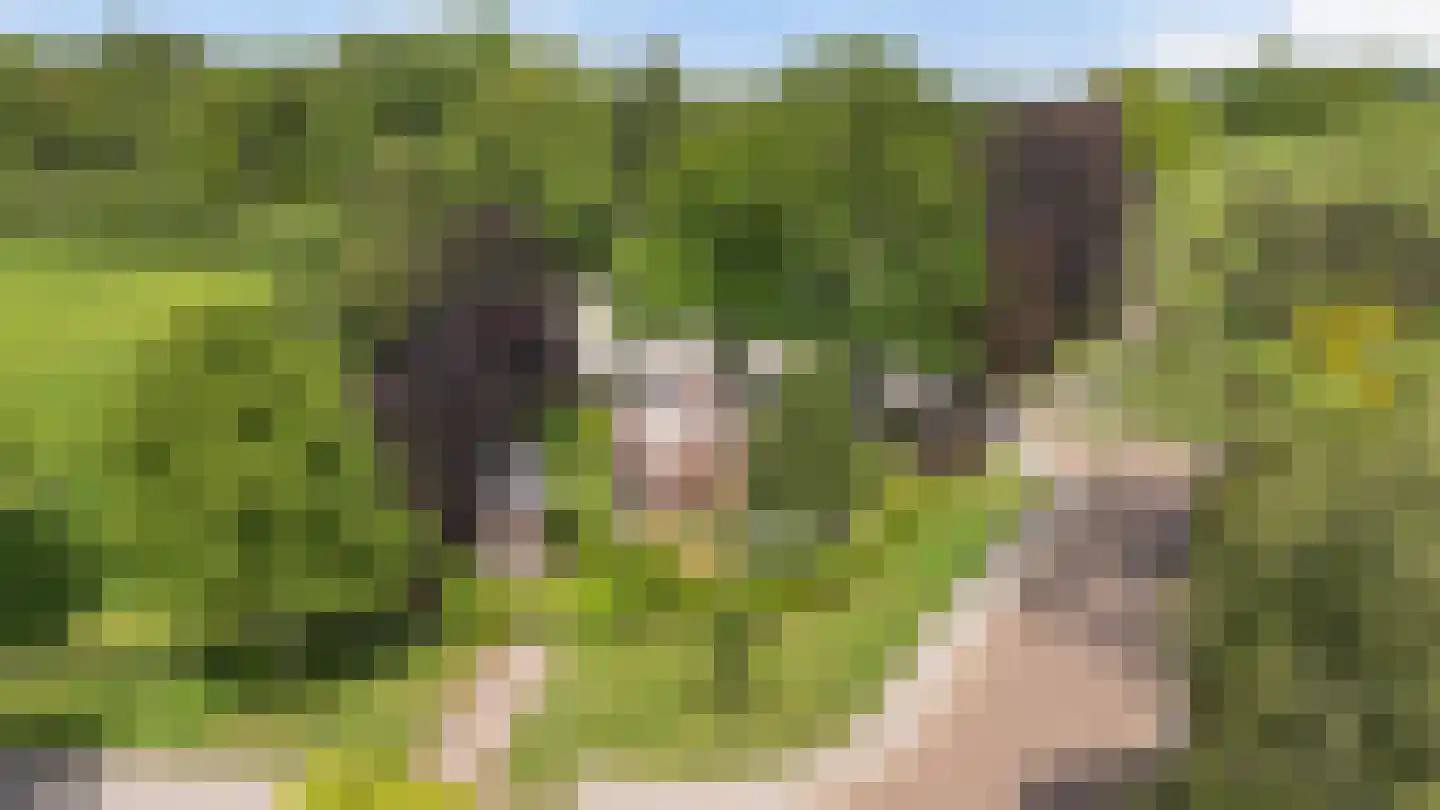 Kanaalweg 1 Eerbeek thumbnail 5