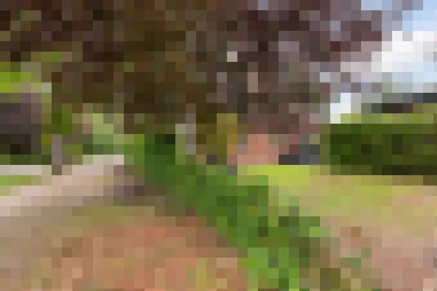 Kanaalweg 1 Eerbeek thumbnail 51