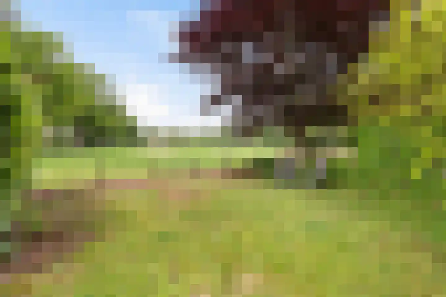 Kanaalweg 1 Eerbeek thumbnail 52