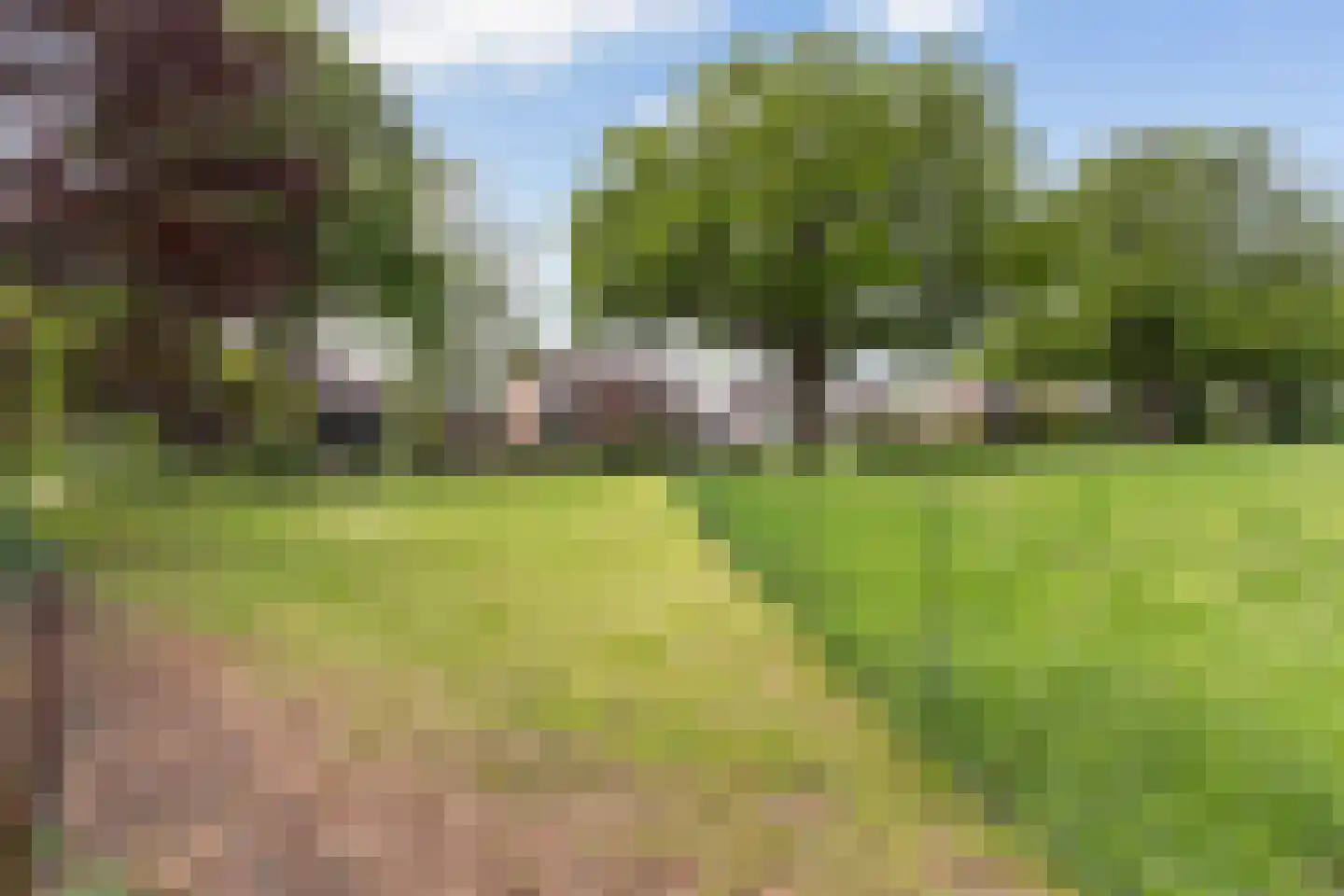 Kanaalweg 1 Eerbeek thumbnail 53