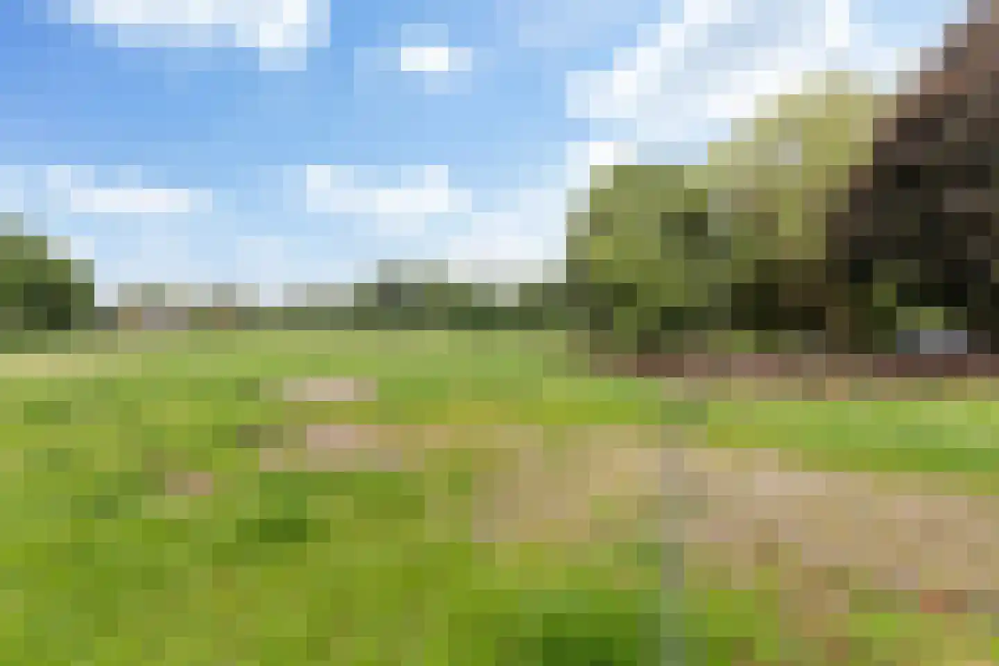 Kanaalweg 1 Eerbeek thumbnail 54