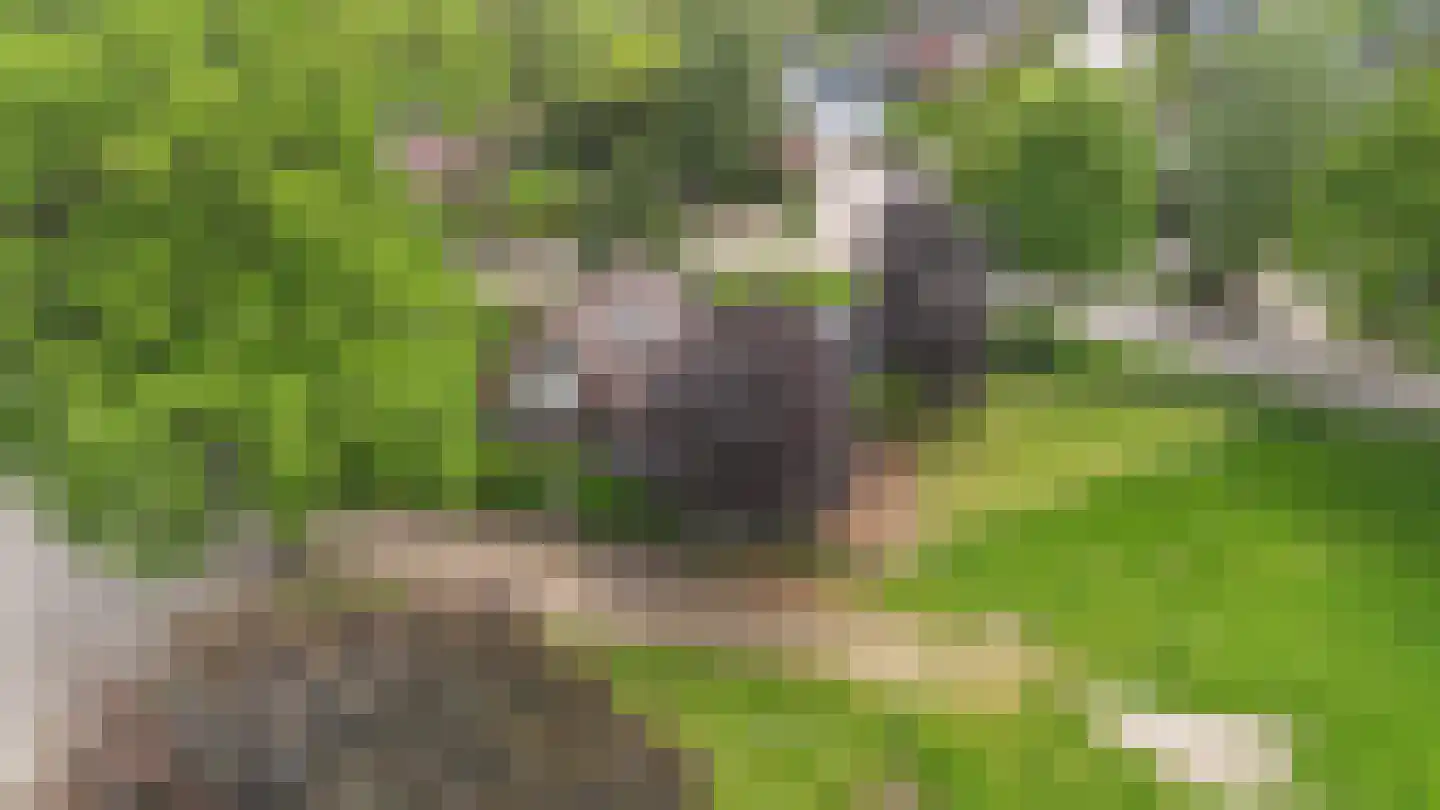 Kanaalweg 1 Eerbeek thumbnail 6