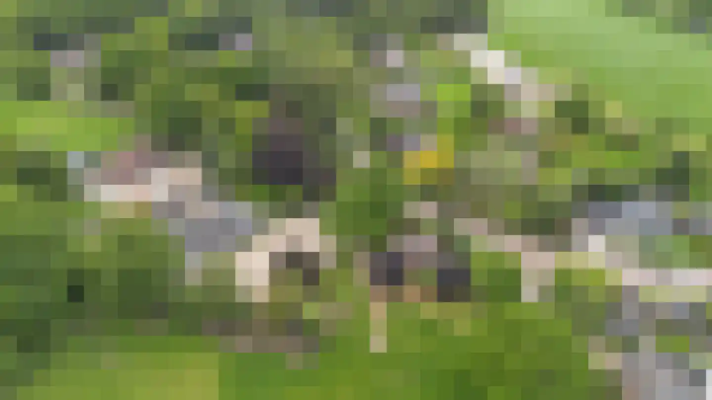 Kanaalweg 1 Eerbeek thumbnail 7