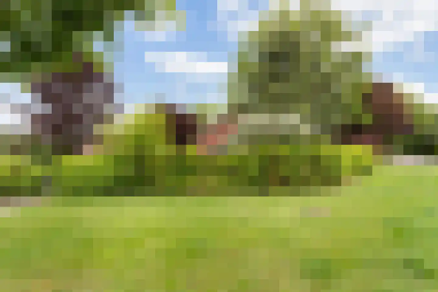 Kanaalweg 1 Eerbeek thumbnail 73