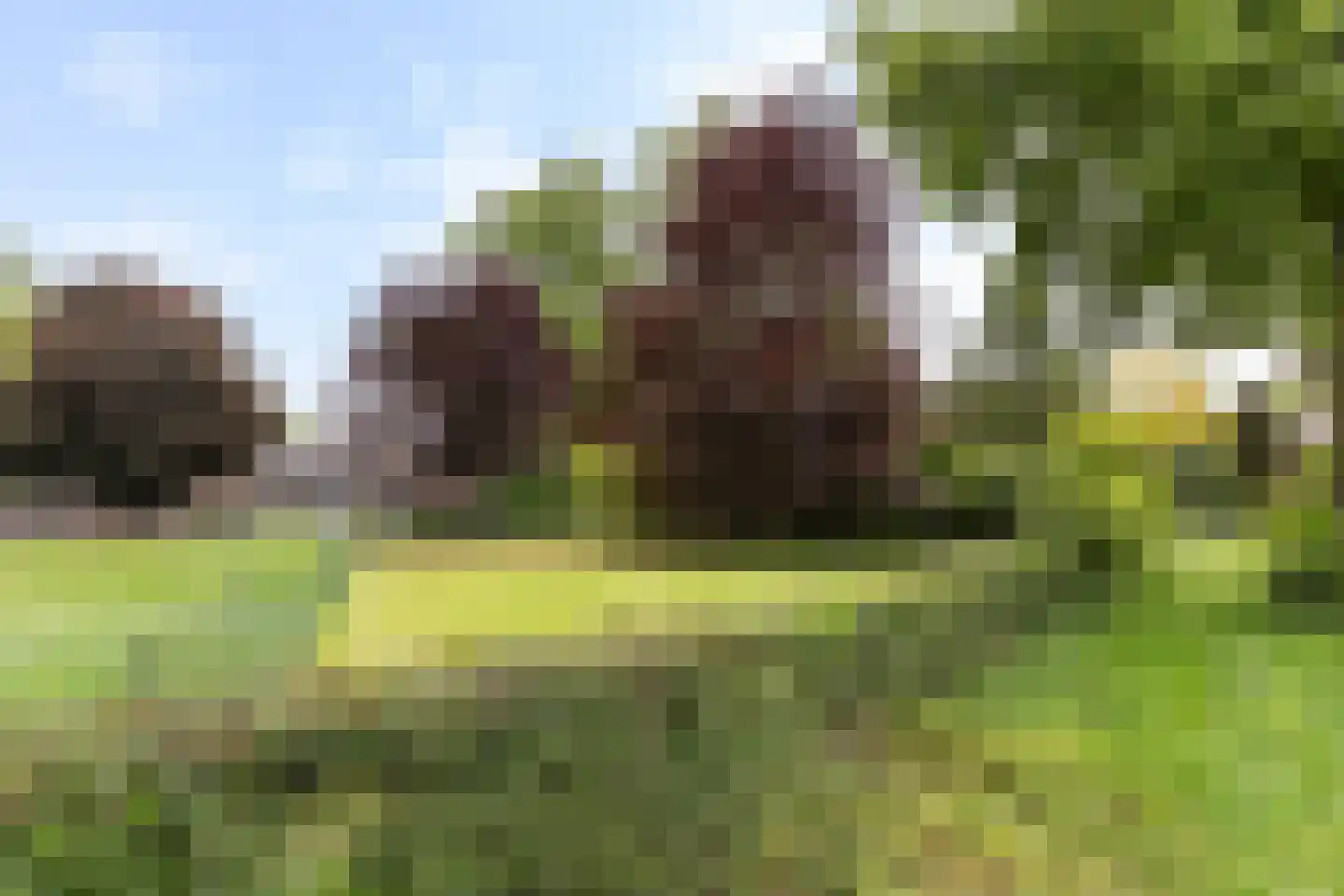 Kanaalweg 1 Eerbeek thumbnail 74