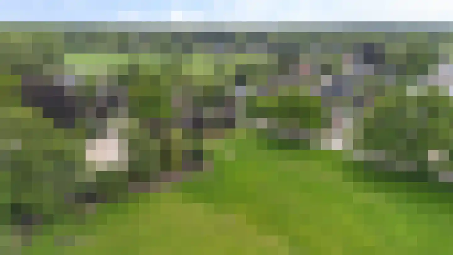 Kanaalweg 1 Eerbeek thumbnail 78