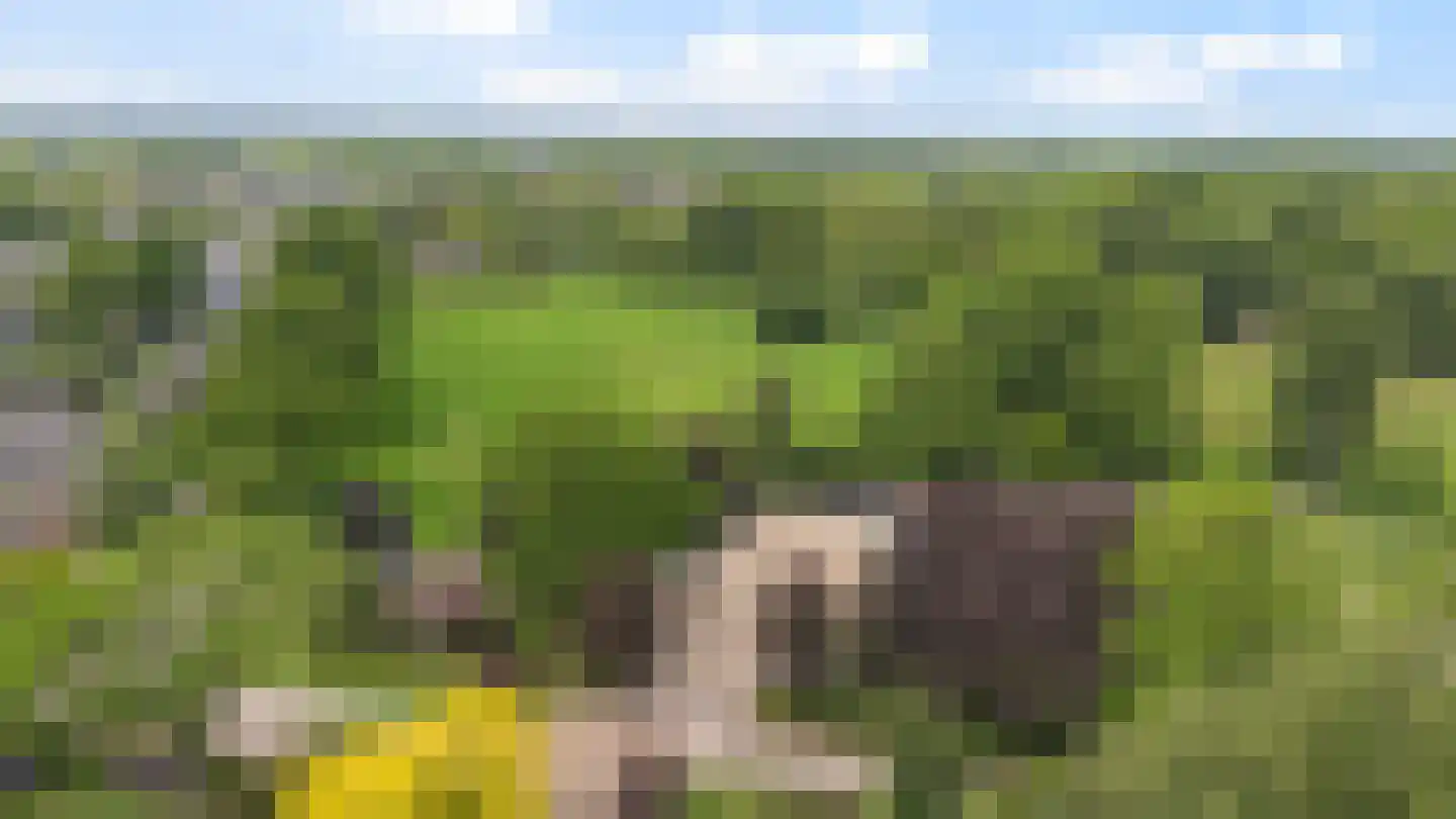 Kanaalweg 1 Eerbeek thumbnail 79