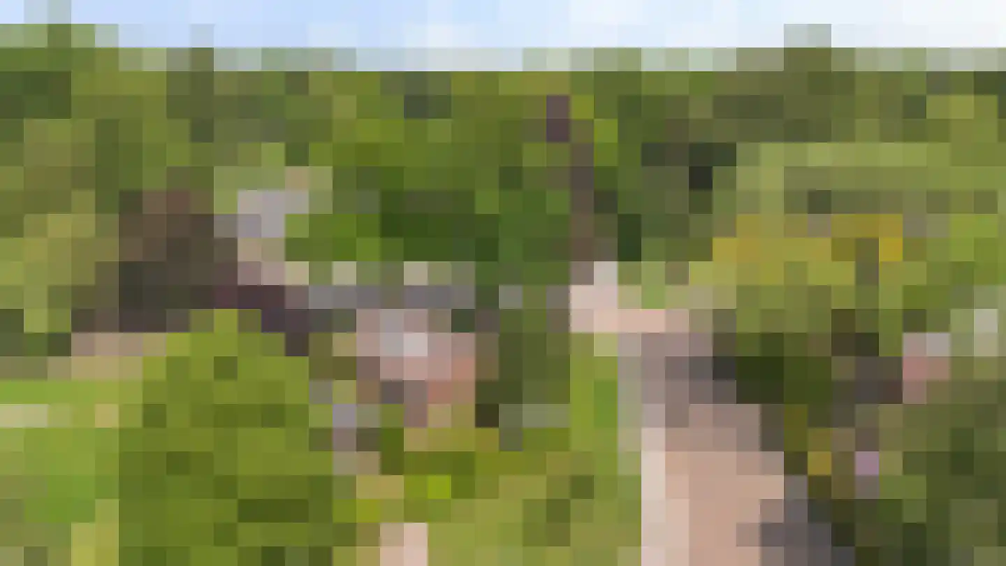 Kanaalweg 1 Eerbeek thumbnail 8