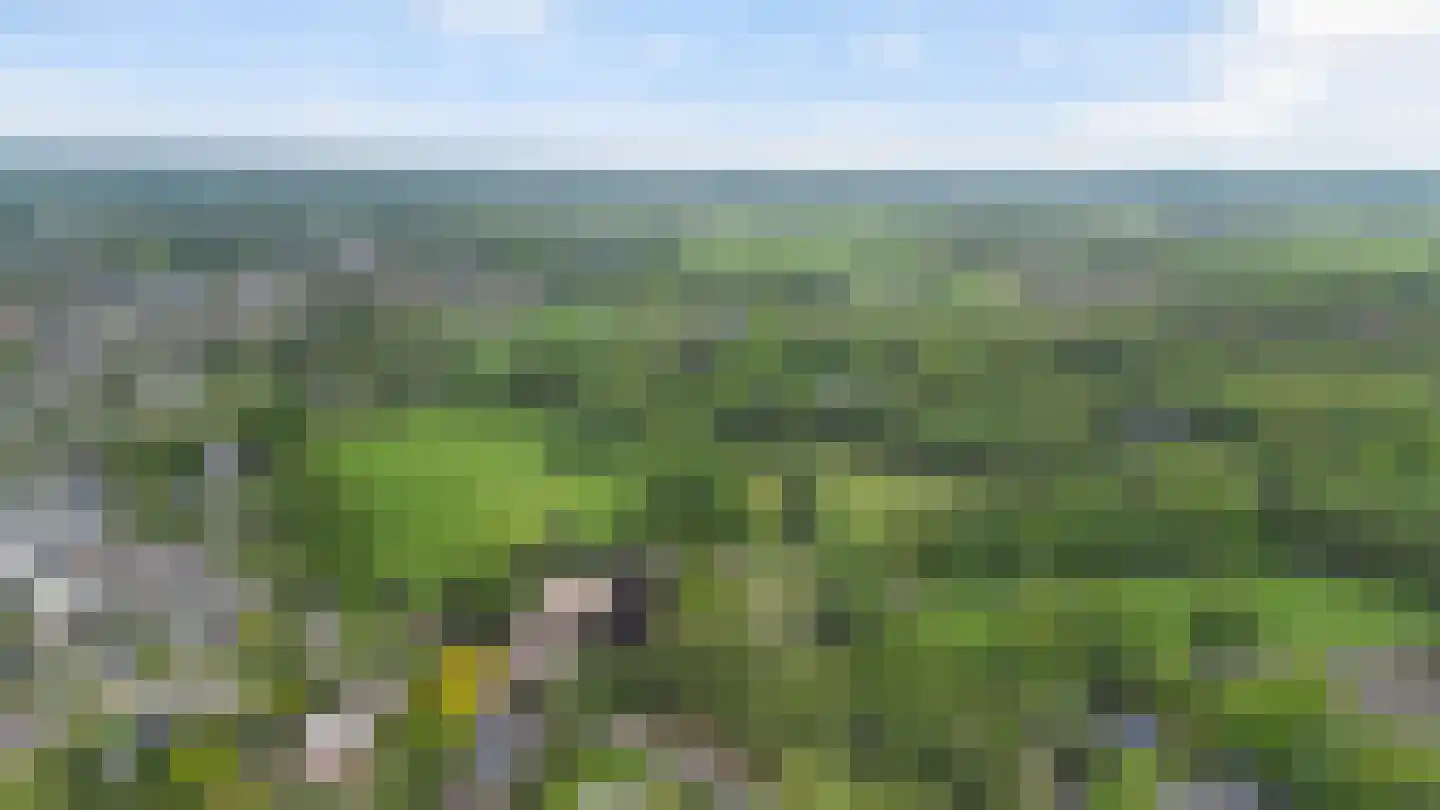 Kanaalweg 1 Eerbeek thumbnail 81