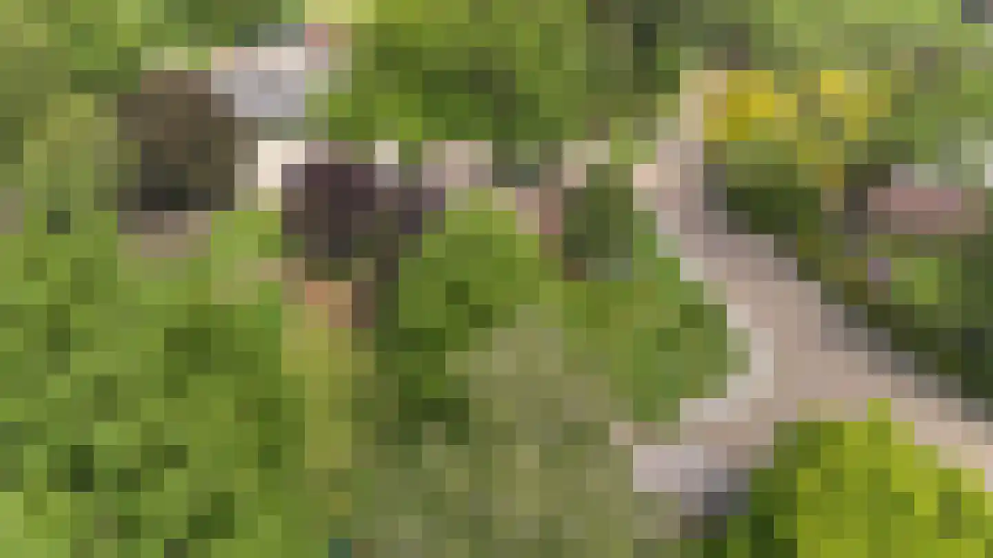 Kanaalweg 1 Eerbeek thumbnail 9
