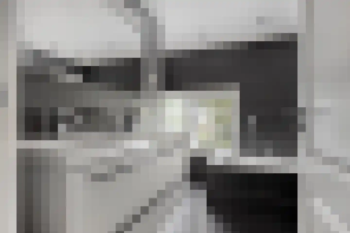 Kanaalweg 12 Veenendaal thumbnail 25