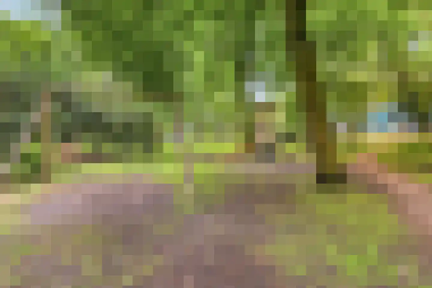 Kanaalweg 12 Veenendaal thumbnail 38