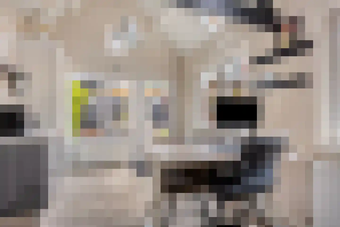 Kanaalweg 12 Veenendaal thumbnail 5