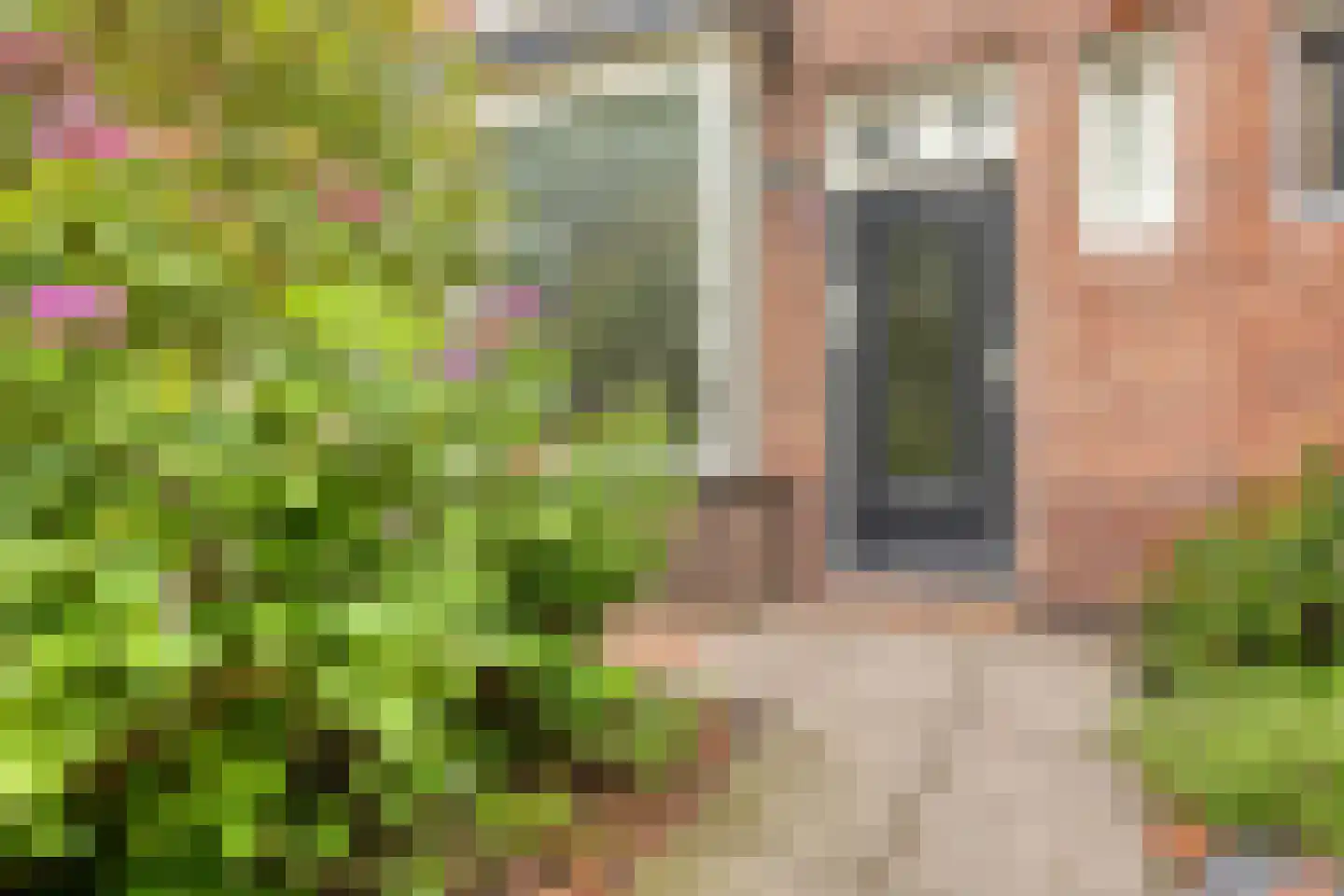Kanaalweg 12 Veenendaal thumbnail 7
