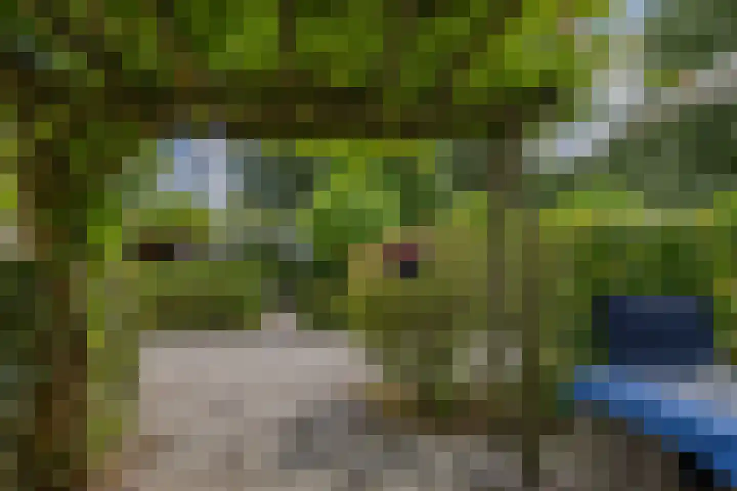 Kanaalweg 13 Heiloo thumbnail 32
