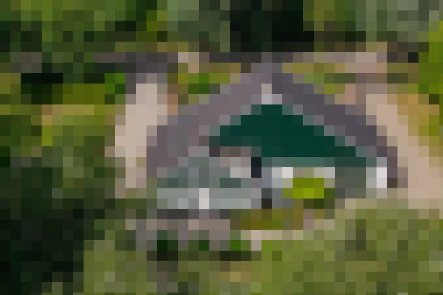 Kanaalweg 13 Heiloo thumbnail 36