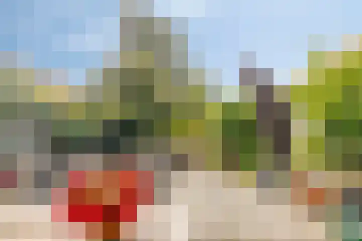 Kanaalweg 13 Veenendaal thumbnail 24