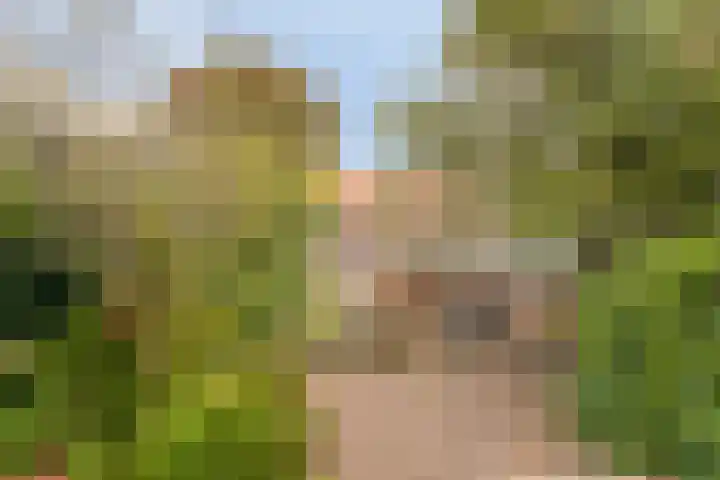 Kanaalweg 13 Veenendaal thumbnail 25