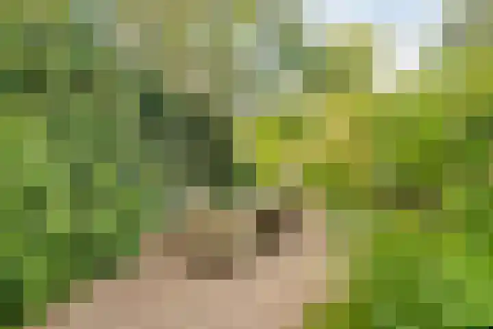 Kanaalweg 13 Veenendaal thumbnail 26