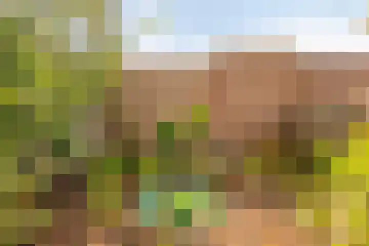 Kanaalweg 13 Veenendaal thumbnail 27