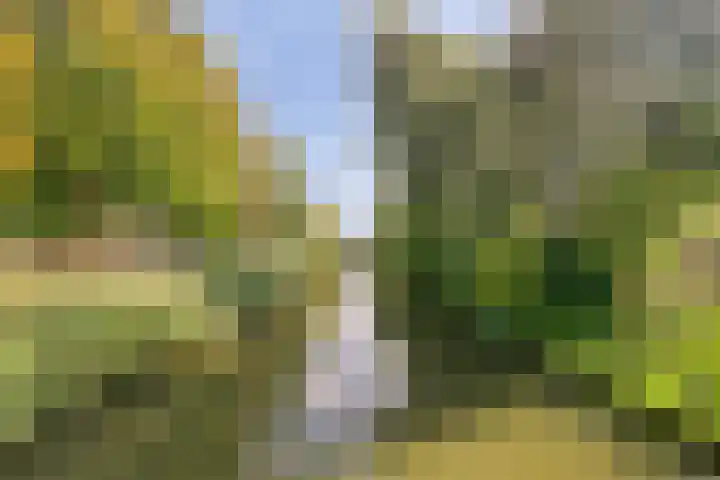 Kanaalweg 13 Veenendaal thumbnail 30
