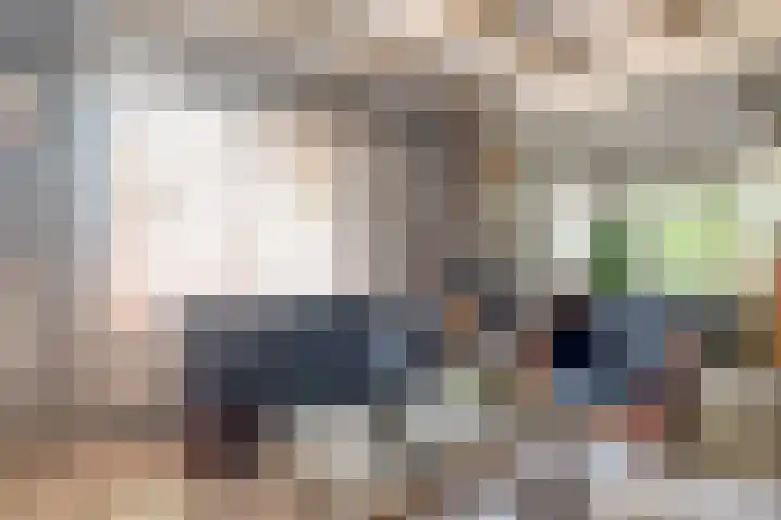 Kanaalweg 13 Veenendaal thumbnail 8