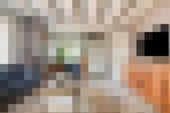 Kanaalweg 13 Veenendaal thumbnail 9