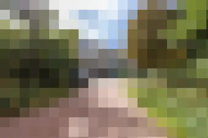 Kanaalweg 138 Leiden thumbnail 6
