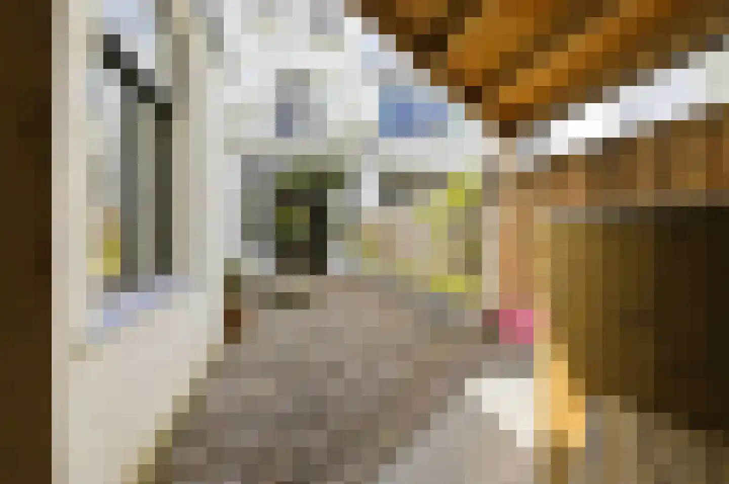 Kanaalweg 15 Delft thumbnail 29