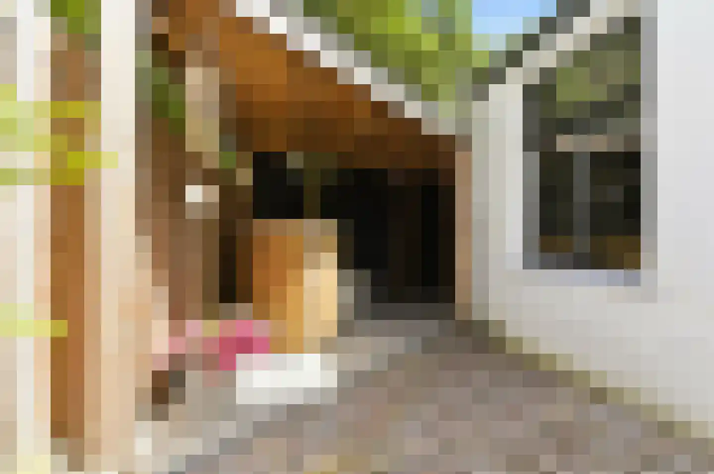 Kanaalweg 15 Delft thumbnail 30
